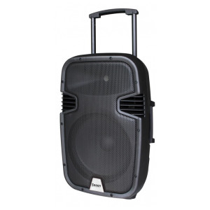 RUNNER15-Rondson-Enceinte-amplifiée-130W