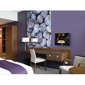 pfw4210-support-mural-inclinable