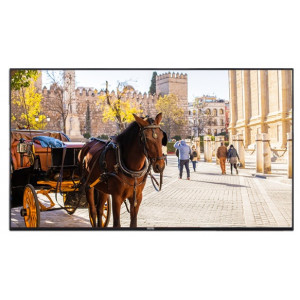 VB43B-Moniteur-43"-Vestel