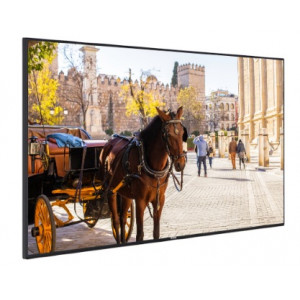 VB43B-Moniteur-43"-Vestel