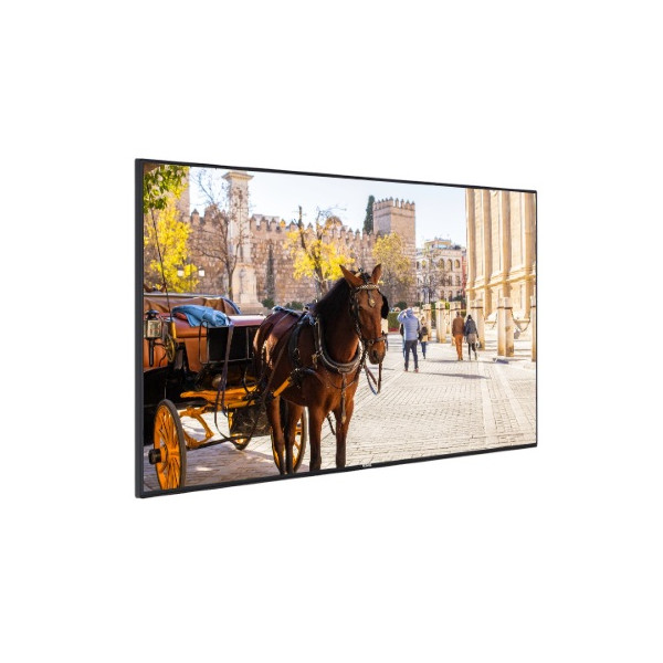 VB55B-Moniteur-55"-Vestel