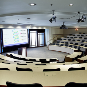 Installation-sonorisation-de-salle