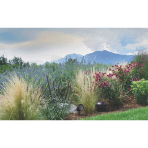 LS12T-SUB-Sonance-Subwoofer-semi-enterré-12”